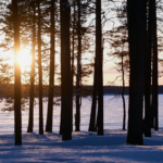 Spa finlandais - dépaysement et bien-être en Finlande
