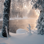 Paysage magnifique en Finlande - activité en Finlande
