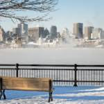 Parc de Montréal en hiver