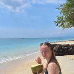 Île Gili Trawangan - coco et plage de Bali