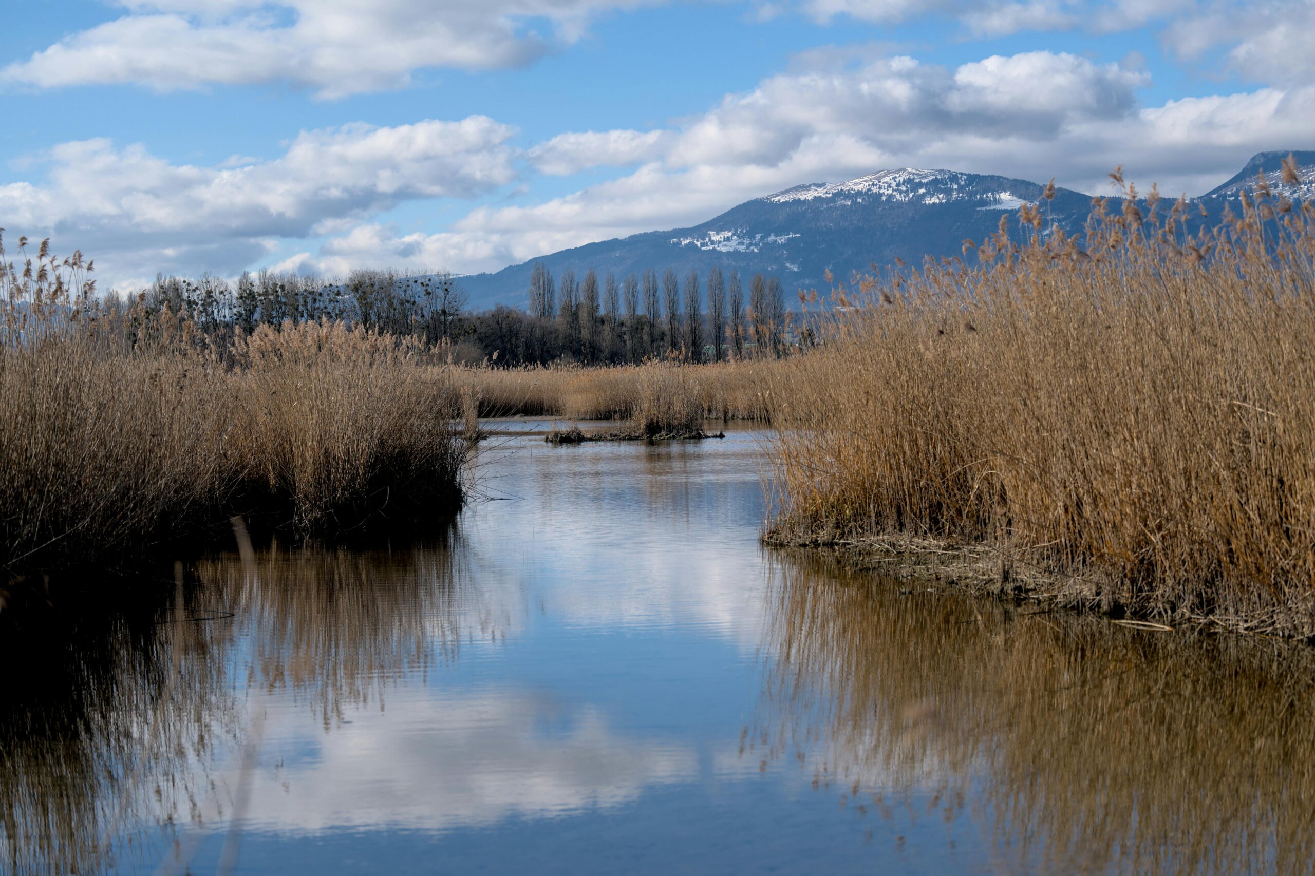 Paysage lacustre près de Lausanne en Suisse - court séjour Europe organisé par Soleïa Travel