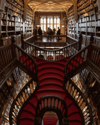 Librairie Lello- Une des plus belles au Monde